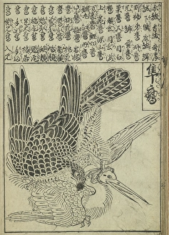 One Object Prints: A hawk attacking a crane