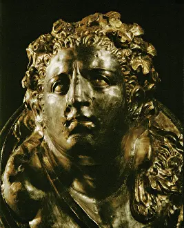 Hecules Prints: Head of Heracles