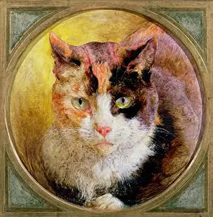 William Huggins Prints: A Head Study of a Tortoiseshell Cat, 1866