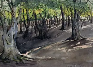 V And A Watercolours 35mm Prints: The Heart of Epping Forest, High Beech