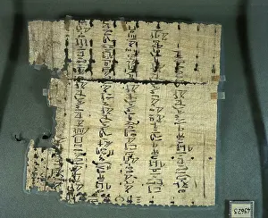 Egitto Reperto Da Prints: Hieratic script on papyrus