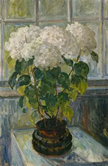 Thorolf Holmboe Prints: Hydrangea, 1911