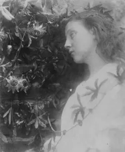 Illustration for the poem Maud by Alfred, Lord Tennyson, 1865 (albumen print) Illustration for the poem Maud by Alfred, Lord Tennyson, 1865 (albumen print)