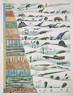The Bateman Master Prints: Illustration representing evolution of organisms with correlation to geologic eras