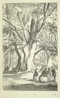 Gentlemen Prints: The King Beech