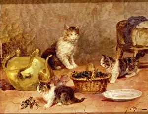 Cats And Dogs Prints: Kittens