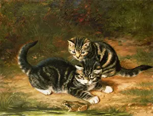 Cats And Dogs Prints: Kittens