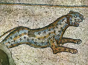 Vith Century Prints: A leopard