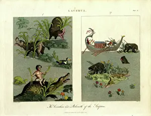 Hippopotamuses Prints: The Leviathan and Behemoth of the Scriptures, 1810 (print)