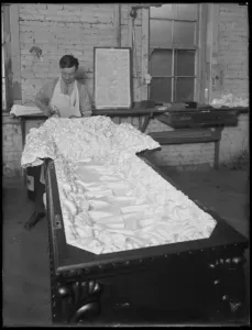 Lining a half-couch casket, Oneida, New York, April 3, 1916 (b / w photo)