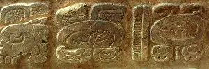 Mayan Prints: Lintel 35