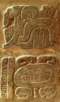Mayan Prints: Lintel 35