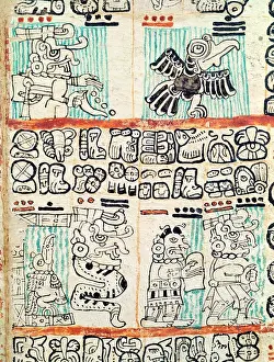 Detail from a Mayan codex (vellum)