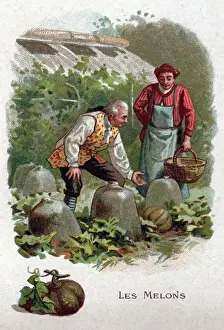 Gardenning Prints: Melon in Cavaillon, c.1910 (print)