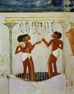 Wines Prints: Men trampling grapes, one racking must