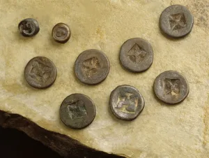 Money with flower and namo marks from the Srivijaya Kingdom (metal) Money with flower and namo marks from the Srivijaya Kingdom (metal)