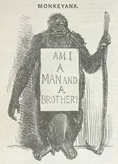 Darwinian Prints: Monkeyana