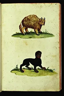 Monstre Prints: Monsters: representation of two creatures