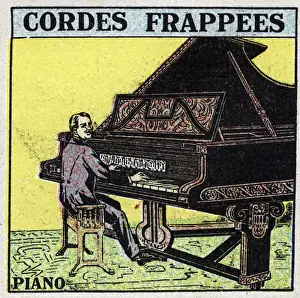 Musical instruments: batted string instruments. A piano player