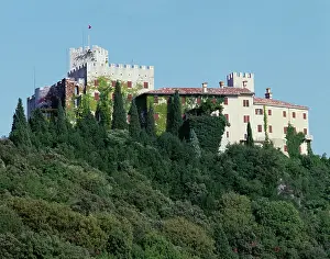 Friuli Venezia Giulia Prints: New Duino castle with vegetation in foreground
