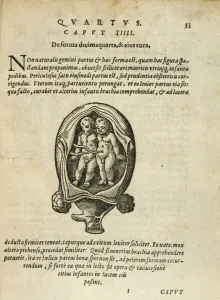 Non-Identical Twins in the Womb, illustration from chapter 14 Non-Identical Twins in the Womb, illustration from chapter 14