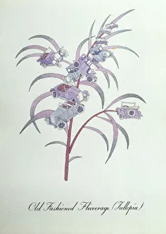 John Weir Prints: Old Fashioned Flivverage (Fallopia)