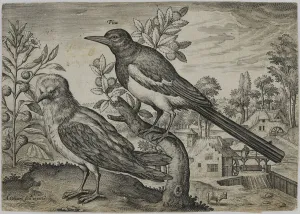 Edwin Howland Blashfield Prints: Old Master Engraving (engraving)