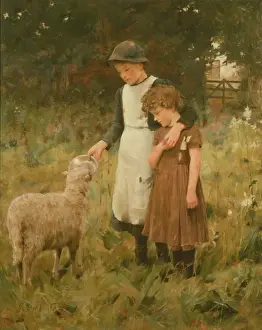 Orphelin Prints: The Orphans