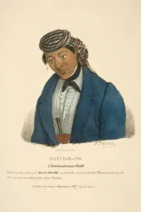 James Otto Lewis Prints: Pach-e-po