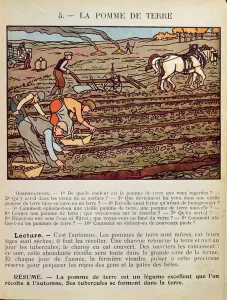 Page from a school textbook illustrating the Cultivation of the Potato, c Page from a school textbook illustrating the Cultivation of the Potato, c