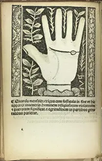 Divination Prints: A palm
