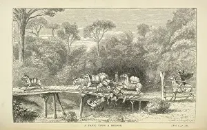 Bidge Prints: A panic upon a bridge