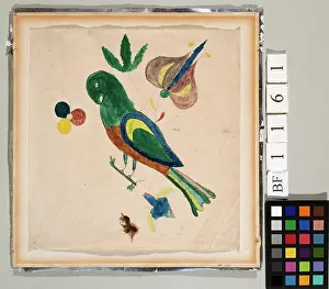 Exotic Prints: Parakeet