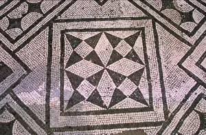 Paving Prints: Patterned flooring (mosaic)