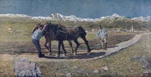 Peasants ploughing a field in the north of Italy, illustration from the magazine ' Peasants ploughing a field in the north of Italy, illustration from the magazine '