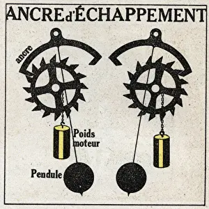 The pendulum: application to clocks with the escape anchor