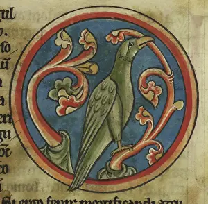 Bestiary Prints: A Phoenix