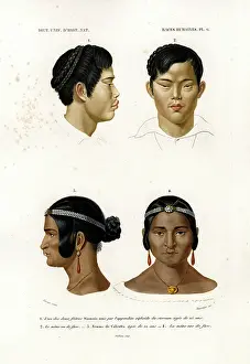 Human Race Type Prints: Physiognomic Study of Different Human Types (print)