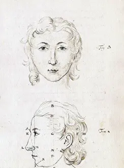 Treatise Prints: Physiognomy