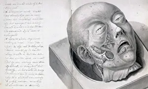Treatise Prints: Physiognomy