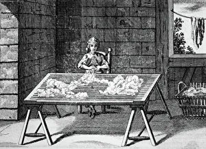 Mzengravingengraving Prints: The picking of wool
