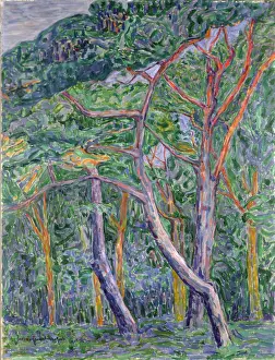 Jacoba Van Heemskerck Prints: Pine Trees