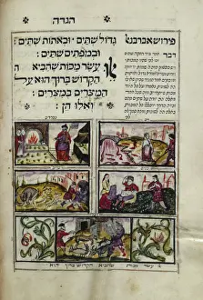 Diseases Prints: Five of the ten plagues