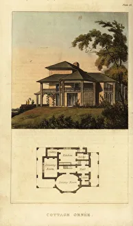 Plan and elevation of a Regency ornate cottage, cottage ornee, 1816 (engraving)