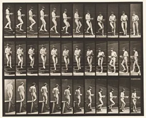 Plate 144. Descending Stairs; Turning Basin in Hands, 1872-85 (collotype on paper) Plate 144. Descending Stairs; Turning Basin in Hands, 1872-85 (collotype on paper)
