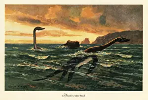 Plesiosaurus dolichodeirus in the ocean. 1908 (illustration)