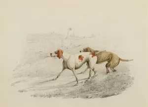 Two Pointers, facing left (graphite & w / c on paper)