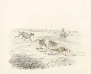 Two Pointers, facing right with a Sportsman (graphite & w/c on paper) Two Pointers, facing right with a Sportsman (graphite & w/c on paper)