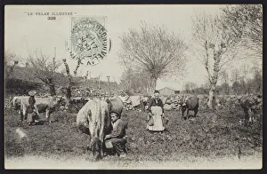 Postcard depicting the milking time in the Velay, c.1900 (b/w photo) Postcard depicting the milking time in the Velay, c.1900 (b/w photo)