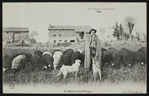 Postcard depicting a shepherd in a village, c.1900 (b/w photo) Postcard depicting a shepherd in a village, c.1900 (b/w photo)